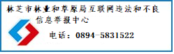 违法举报